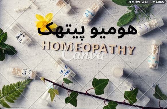 You are currently viewing Homeopathy in Urdu